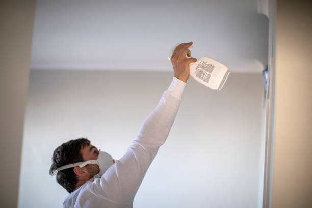 Best Certified Mold Removal  in North Fork, CA