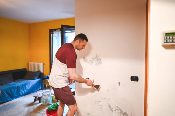Best Fast Mold Removal  in North Fork, CA