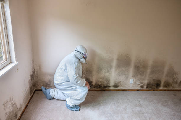 Water Damage Restoration in North Fork, CA