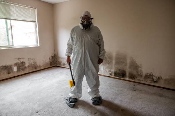 Best Mold Removal and Inspection  in North Fork, CA