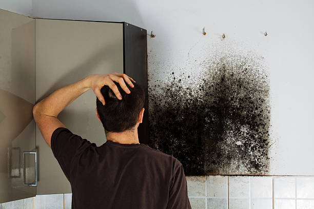 Best Residential Mold Removal  in North Fork, CA
